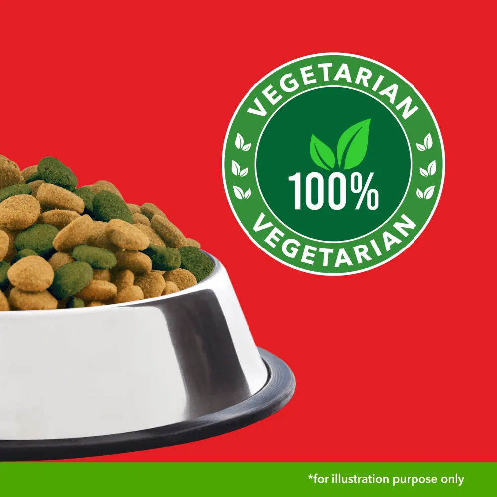 Drools 100% Vegetarian Adult Dog Dry Food
