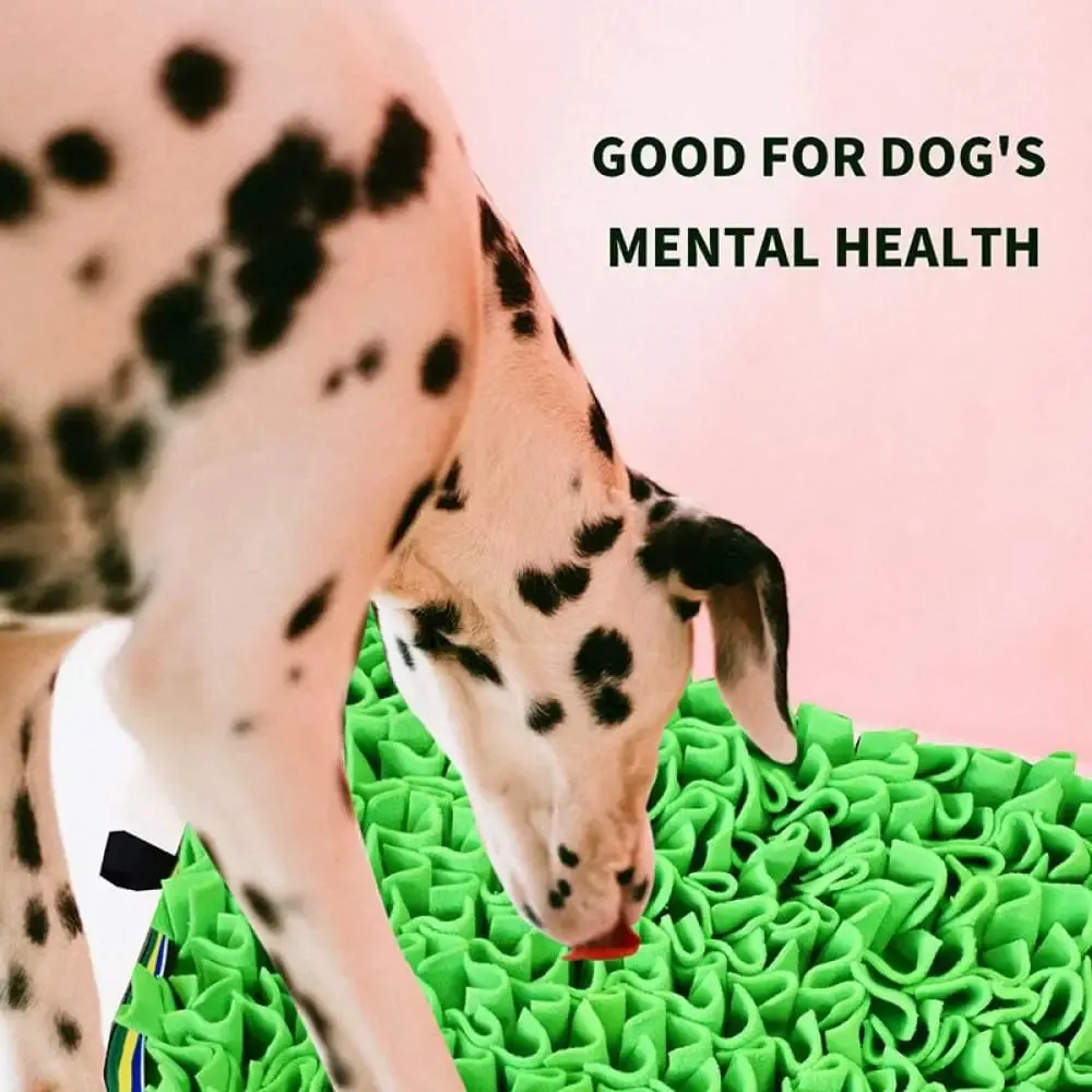 Eco-friendly Durable Slow Feeding Dog Puzzle Snuffle Mat for Pet Training Encourage Foraging Skills