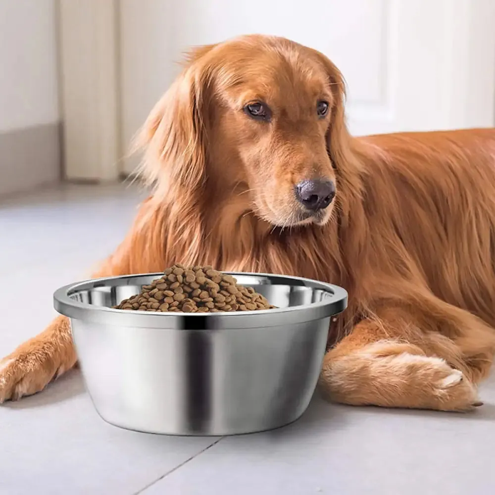 Eco-friendly Smooth Edge Stable Bottom Pet Food Water Bowl for Small Medium Large Dogs