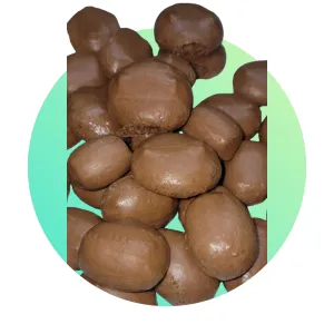 Freeze Dried Tootsie- Bites (Tootsie-Rolls)