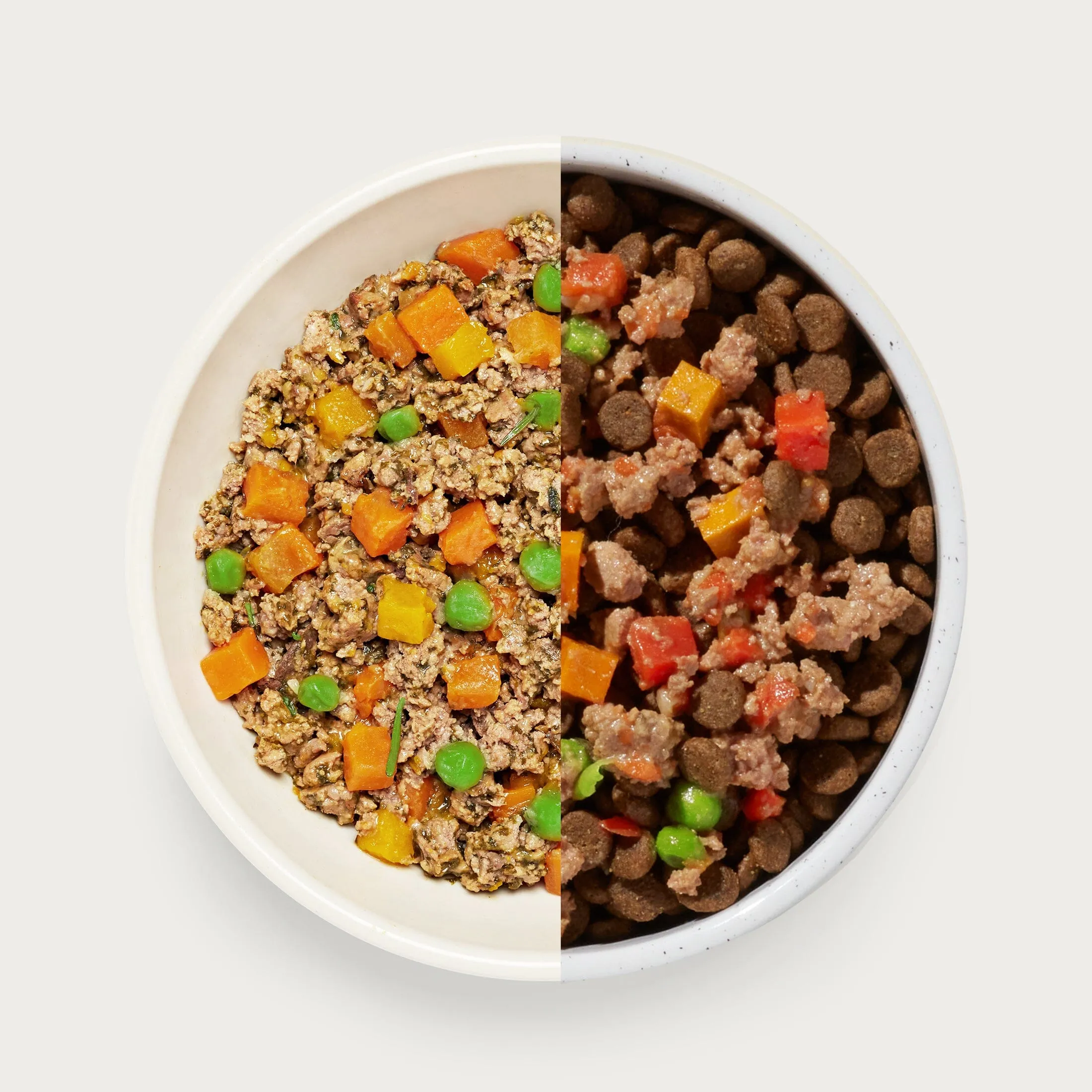 Homemades Wet Dog Food Sampler Pack