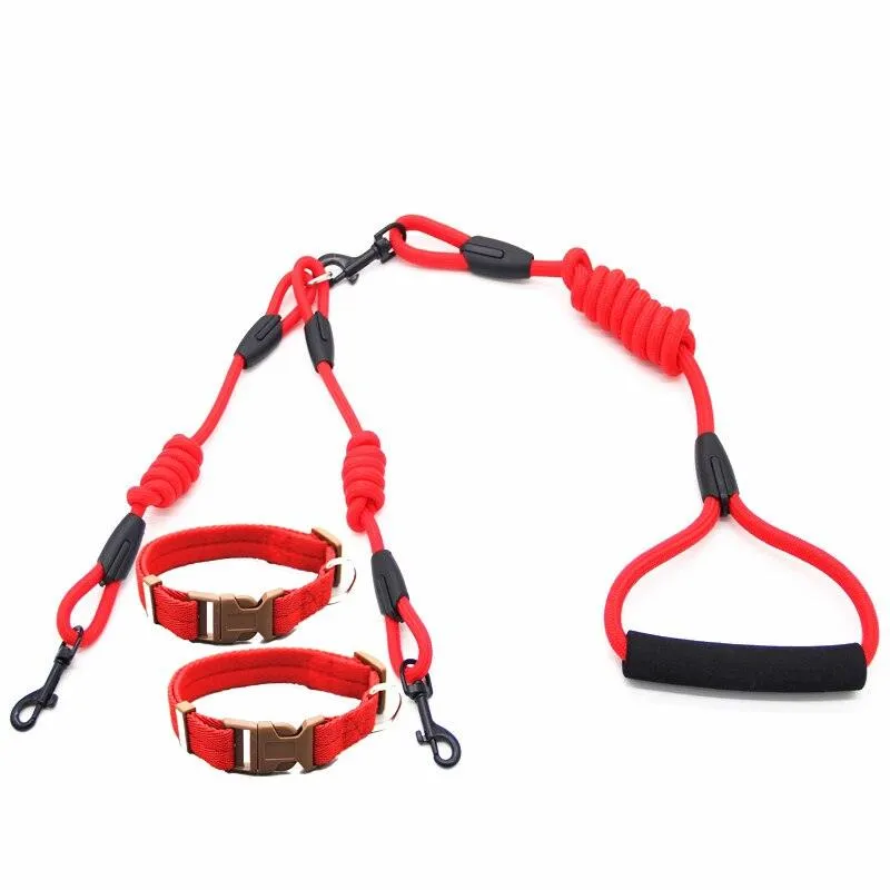 Nylon Training Rope for Dogs