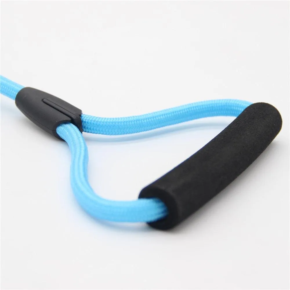 Nylon Training Rope for Dogs