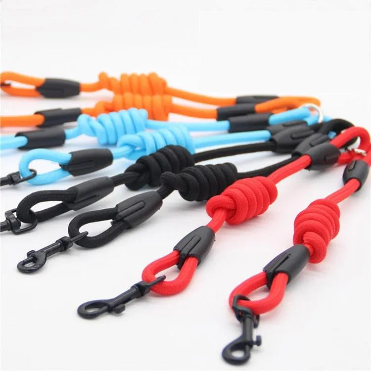 Nylon Training Rope for Dogs