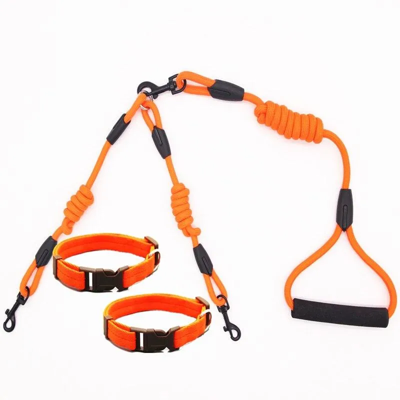 Nylon Training Rope for Dogs