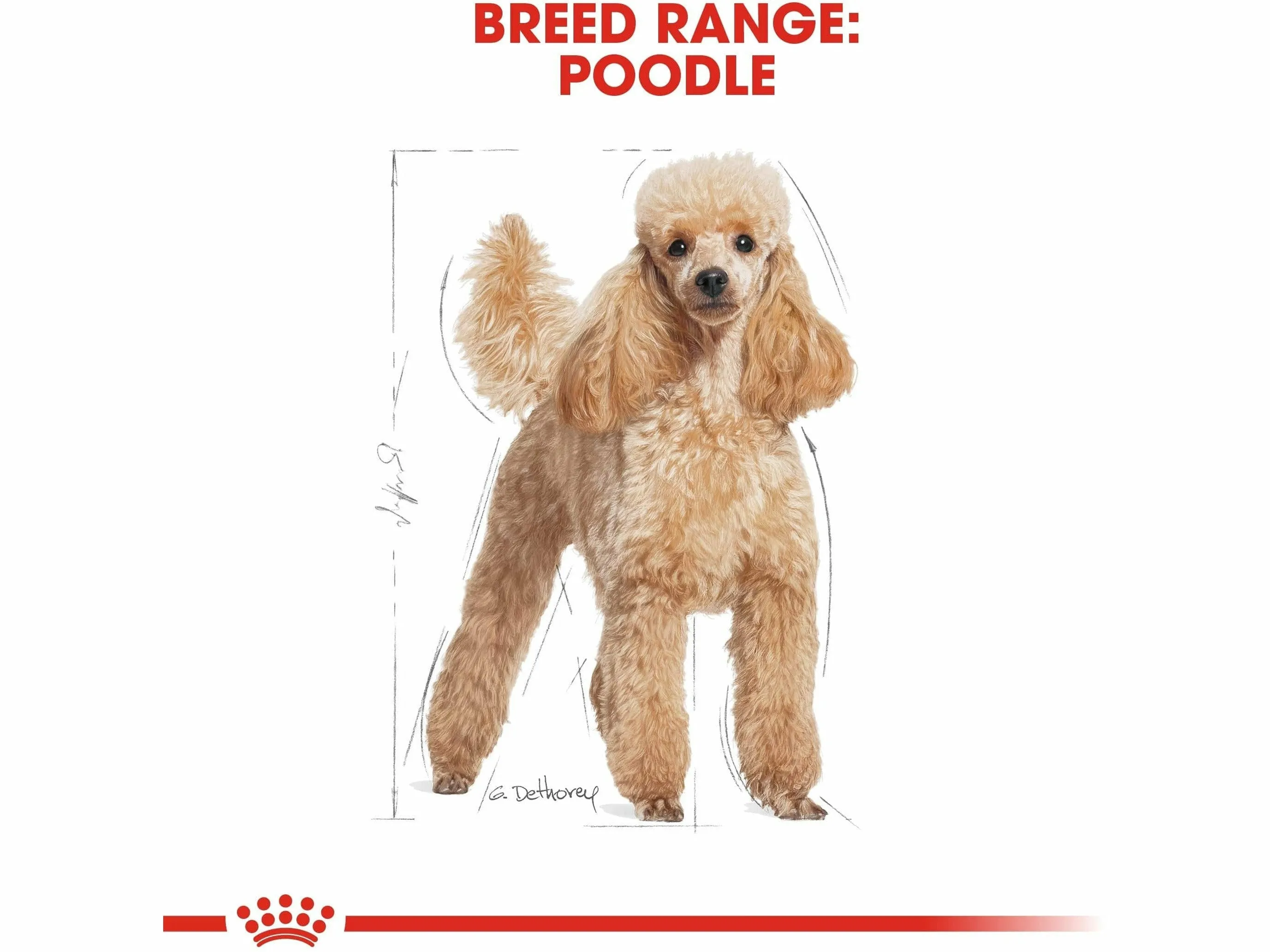 Royal Canin Breed Health Nutrition Poodle Adult (WET FOOD - Pouches)12X85G