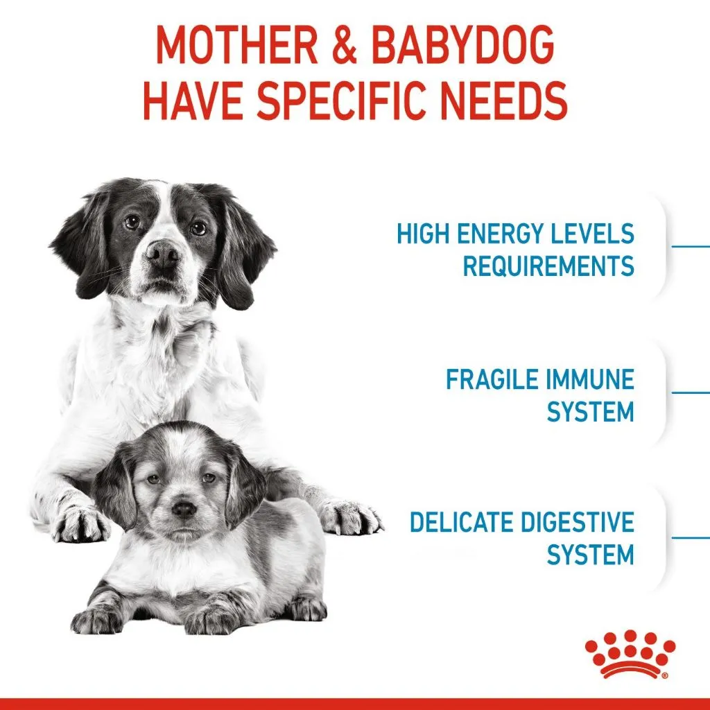 Royal Canin Medium Starter Mother & Babydog 4kg Dry Dog Food - Size Health Nutrition