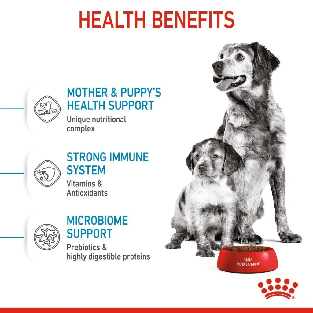 Royal Canin Medium Starter Mother & Babydog 4kg Dry Dog Food - Size Health Nutrition