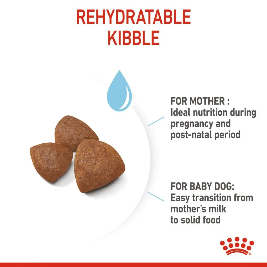 Royal Canin Medium Starter Mother & Babydog 4kg Dry Dog Food - Size Health Nutrition