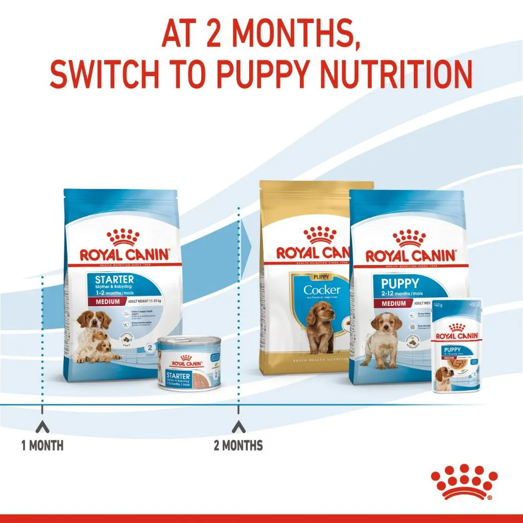 Royal Canin Medium Starter Mother & Babydog 4kg Dry Dog Food - Size Health Nutrition