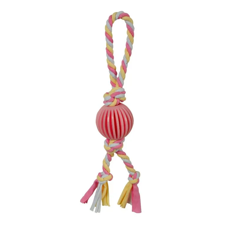 SmartPetLove Puppy's 1st Toys - Ball on Rope