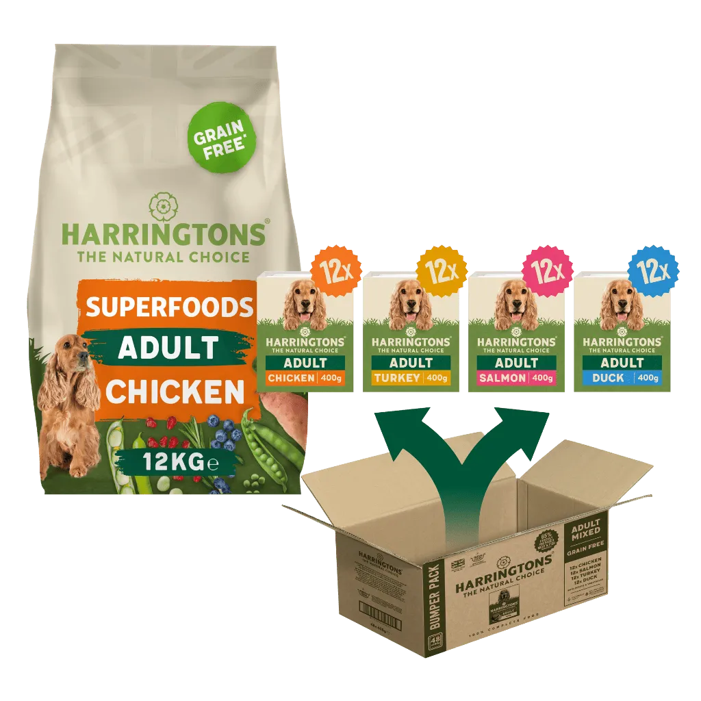 Superfoods Starter Pack