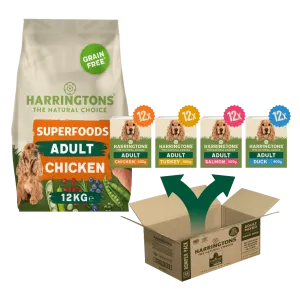 Superfoods Starter Pack