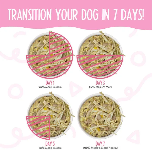 Weruva Meals 'n More Amazon Livin' Recipe Plus Dog Food (3.5 oz)